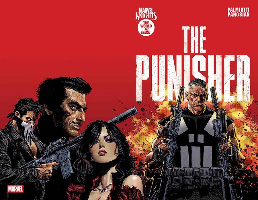 Marvel Knights: Punisher #1 19537 - фото 36644