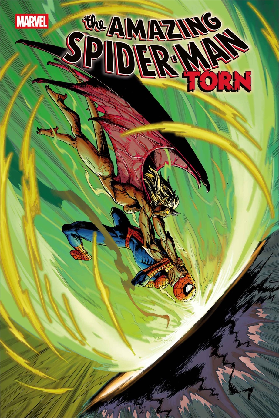Amazing Spider-Man: Torn #5 24029