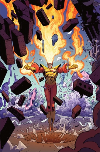 Fury Of Firestorm #1 26783