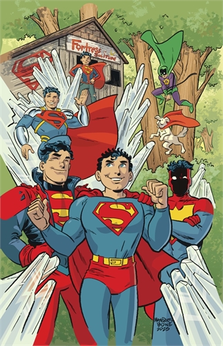 Superman Unlimited #13 27871