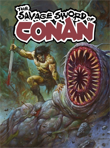 Savage Sword Of Conan #14 28020