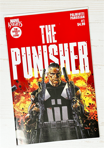Marvel Knights: Punisher #1 28681