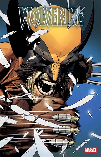 Wolverine #22 29715