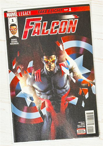 Falcon #1 30489
