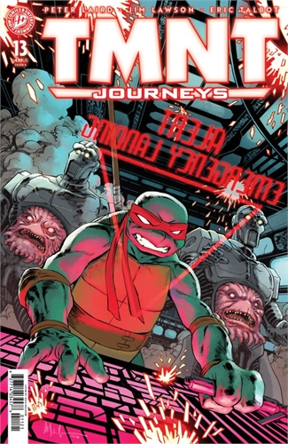 TMNT: Journeys #13 32721