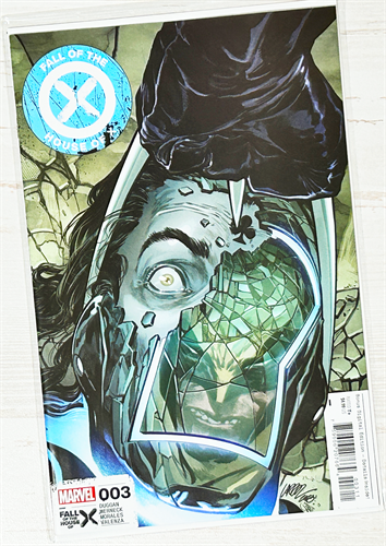 Fall Of The House Of X #2 33920