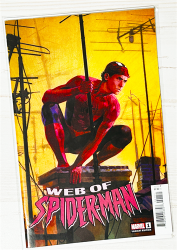 Web Of Spider-Man 33926