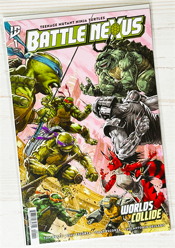 Teenage Mutant Ninja Turtles: Battle Nexus #1 35796