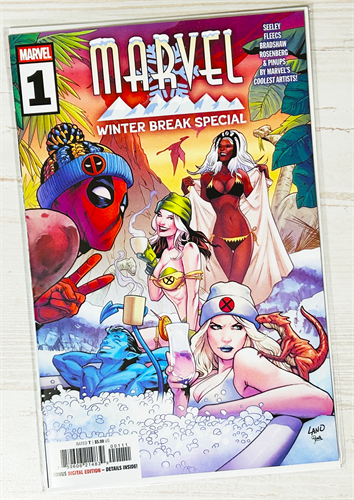 Marvel: Winter Break Special 35861