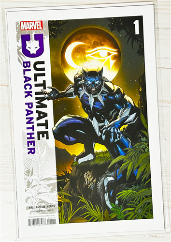 Ultimate Black Panther #1 39016