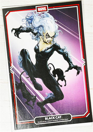 Black Cat #6 39182