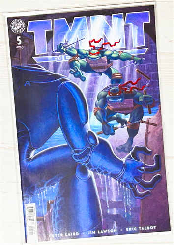 Teenage Mutant Ninja Turtles: Journeys #5 39196