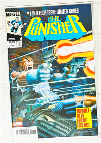 Punisher #1 39221