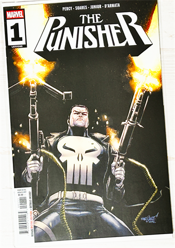 Punisher #1 39276