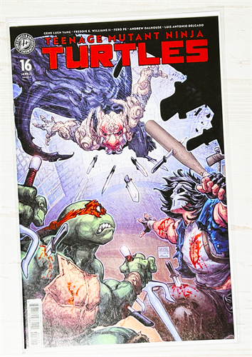 Teenage Mutant Ninja Turtles #16 39309