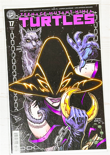Teenage Mutant Ninja Turtles #17 39355