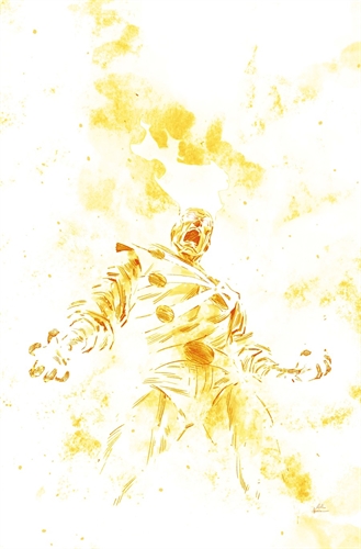 Fury Of Firestorm #9 39515