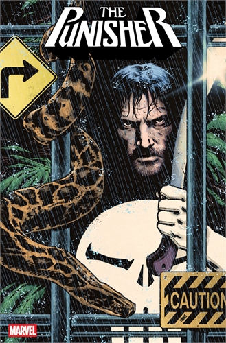 Punisher #11 40119