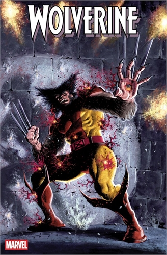 Wolverine #31 40154