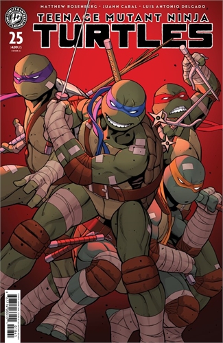 Teenage Mutant Ninja Turtles #25 40205
