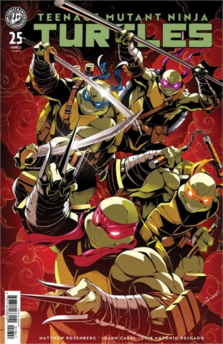 Teenage Mutant Ninja Turtles #25 40206