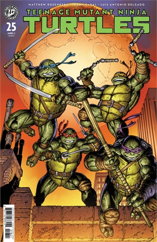 Teenage Mutant Ninja Turtles #25 40208