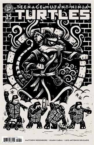 Teenage Mutant Ninja Turtles #25 40210