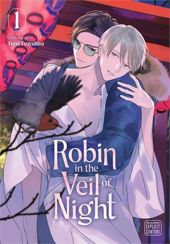 Robin In The Veil Of Night (GN-TPB – Vol. 01) 40777