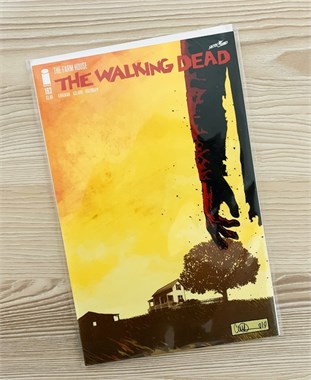 Walking Dead #193 8051