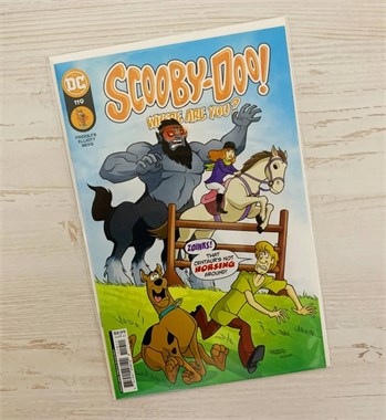 Scooby-Doo, Where Are You? #119 8502