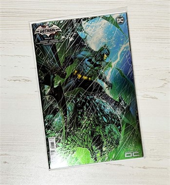 Batman / Catwoman: The Gotham War - Battle Lines 8614