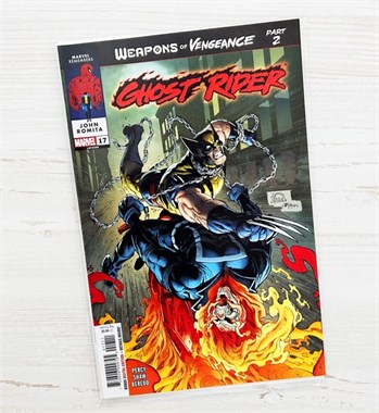 Ghost Rider #17 9166