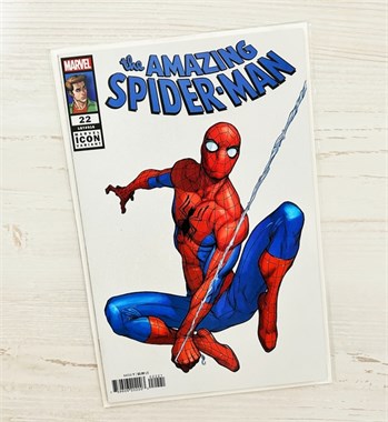 Amazing Spider-Man #22 9218