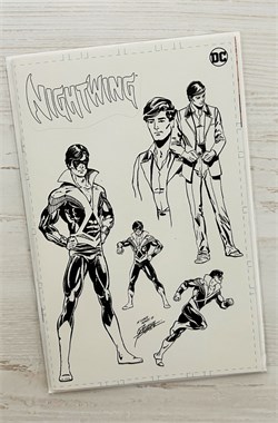 Nightwing #100 9616
