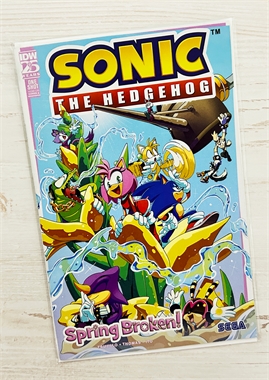 Sonic The Hedgehog: Spring Broken! 13037