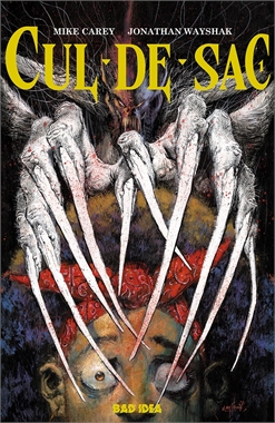Cul-De-Sac #1 17498