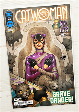 Catwoman #65 17865