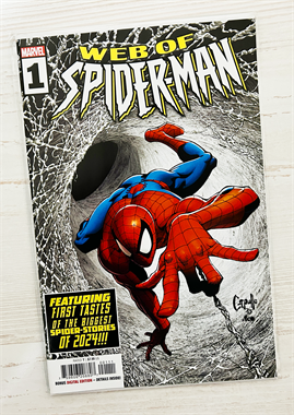Web Of Spider-Man 17890