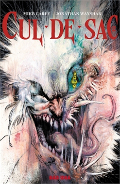 Cul-De-Sac #2 18648
