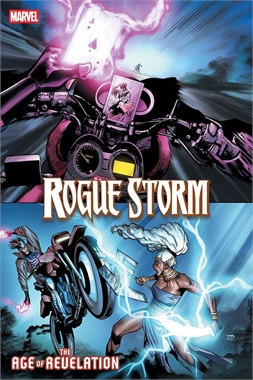 Rogue/Storm #2 20958