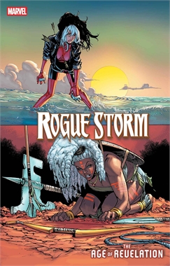 Rogue/Storm #3 22138