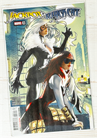 Jackpot & Black Cat #3 26175