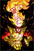 Fury Of Firestorm #2 27807