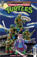 Teenage Mutant Ninja Turtles: Saturday Morning Adventures #37 28078