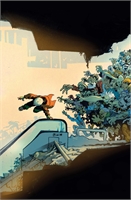 Bleeding Hearts #5 29097