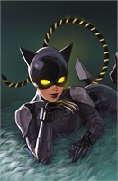 Absolute Catwoman #2 30657