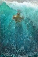 Emperor Aquaman #19 30754