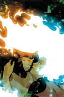 Fury Of Firestorm #4 30760