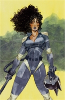 Absolute Catwoman #3 33158