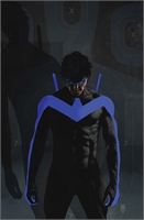 Nightwing #141 33304